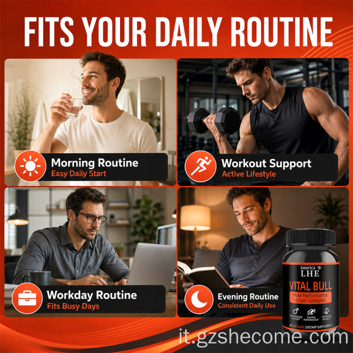 Supplemento personalizzato per organo di manzo Shecome Vital Bull
